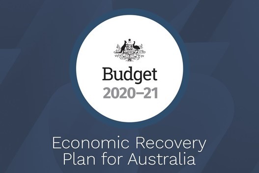 The 2020 Budget for Households